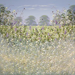 Field in Bloom III by Mary Shaw - Original Painting on Board sized 48x48 inches. Available from Whitewall Galleries